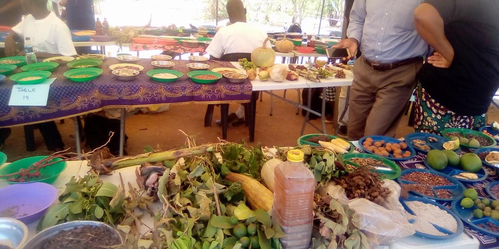 HastingsJBanda's tweet photo. Today, Friday 7th October 2022, Soil, Food and Healthy Community together with Seed and Knowledge Initiative, BCI and SCOPE Malawi organised a first ever Lilongwe Sustain Fest under the theme My seed, my Food, My Pride which brought farmer across the country to display seeds. https://t.co/9Vtz5nURWa
