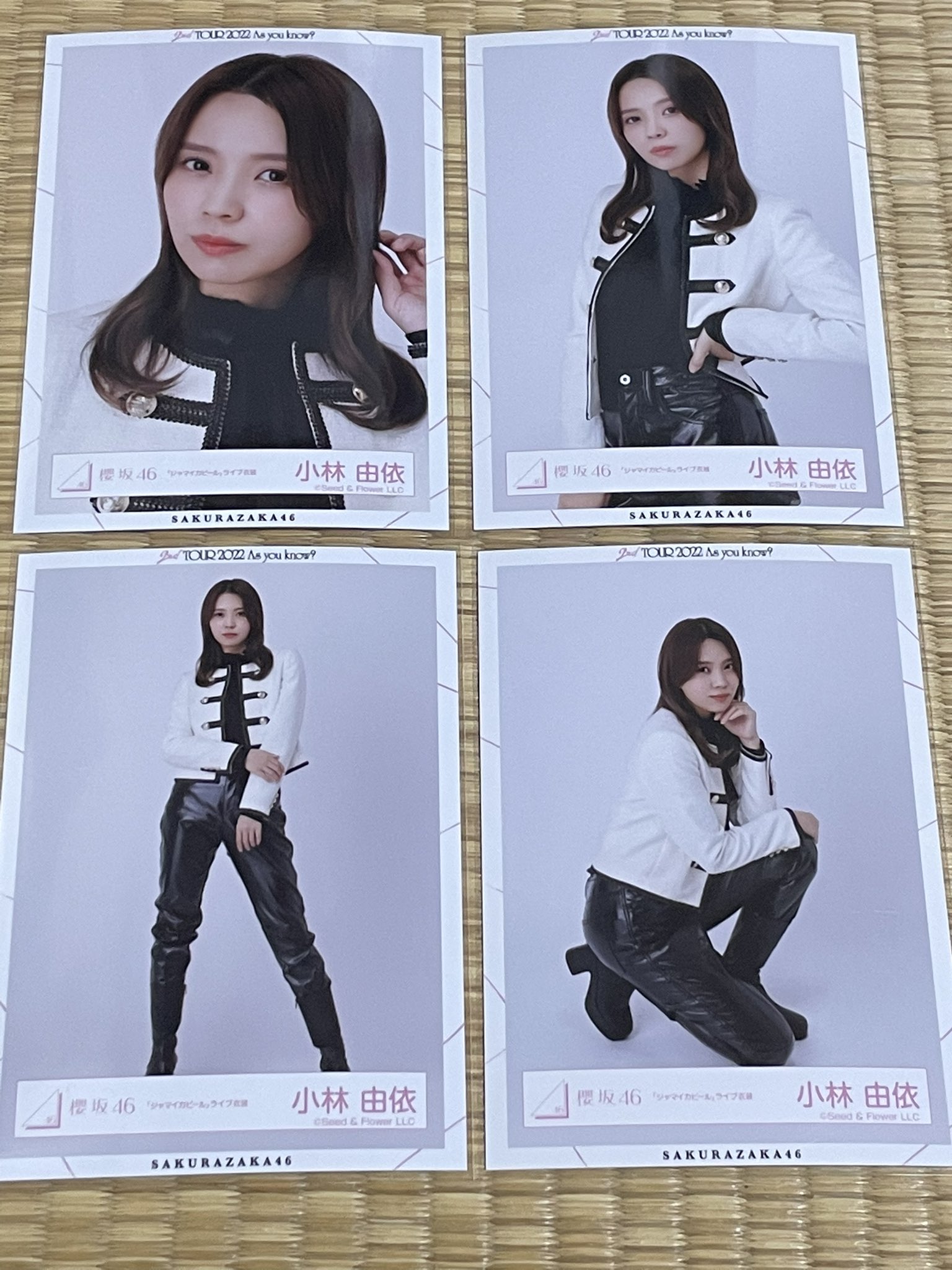 本日限定価格‼️ウエラシステム‼️アルファENG×3本SET‼️