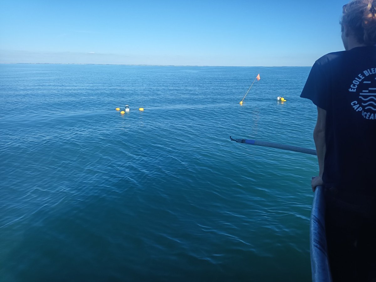 complementterre's tweet photo. Cette semaine, c'était campagne de mesure du niveau de la mer au large de l’Île d’Aix pour le drone marin #PAMELi et les bouées #GNSS #Physalia
🛰️🌊🛥️🛟🛟🛟
Au programme: cartographie du géoïde côtier et comparaison avec les mesures du satellite altimétrique #Sentinel-6 https://t.co/D18QOxh8UL