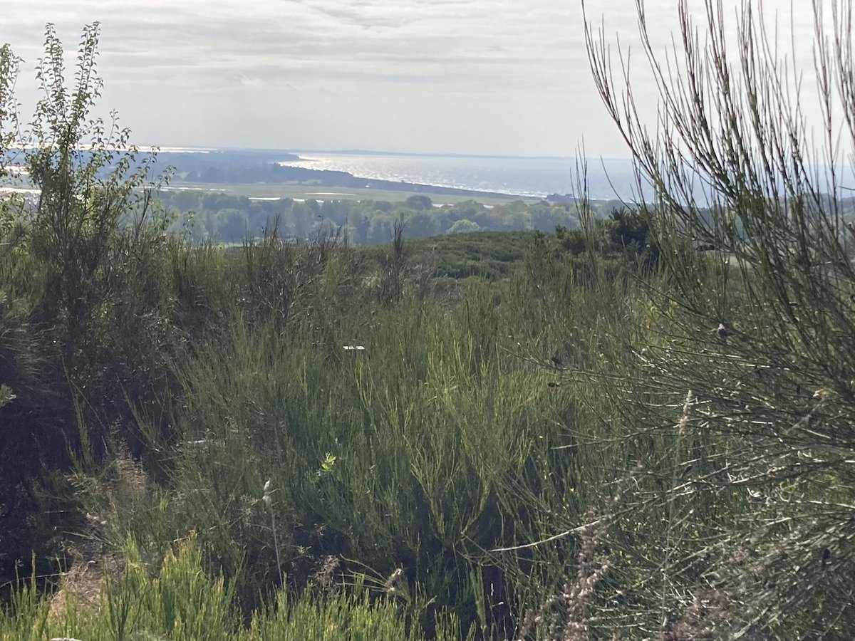 margostraathof's tweet photo. #Rügen #Duitsland #groepsreis #Bolderman 👍👍 https://t.co/stjDTtjs9l