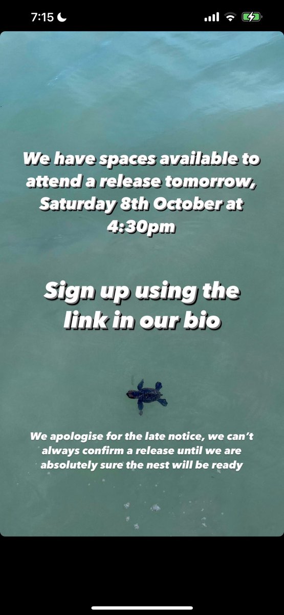 Oracabessa Bay Sea Turtle Project (@oracabayturtles) on Twitter photo 