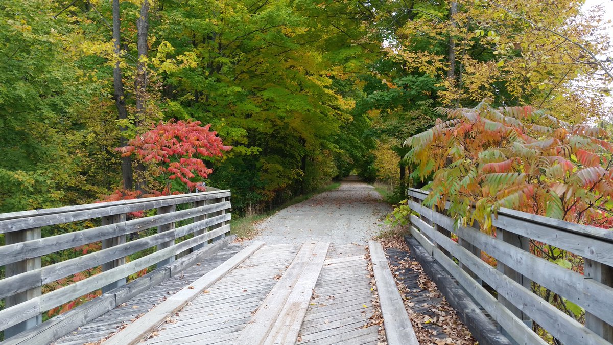 UteSchmid's tweet photo. One of the most scenic places in #SimcoeCounty to document the colours of #autumn prettily progressing is the #WyeBridge near #WaverlyOntario. #ResidentialTourist #Snowflakelady https://t.co/asPQN2Pycd