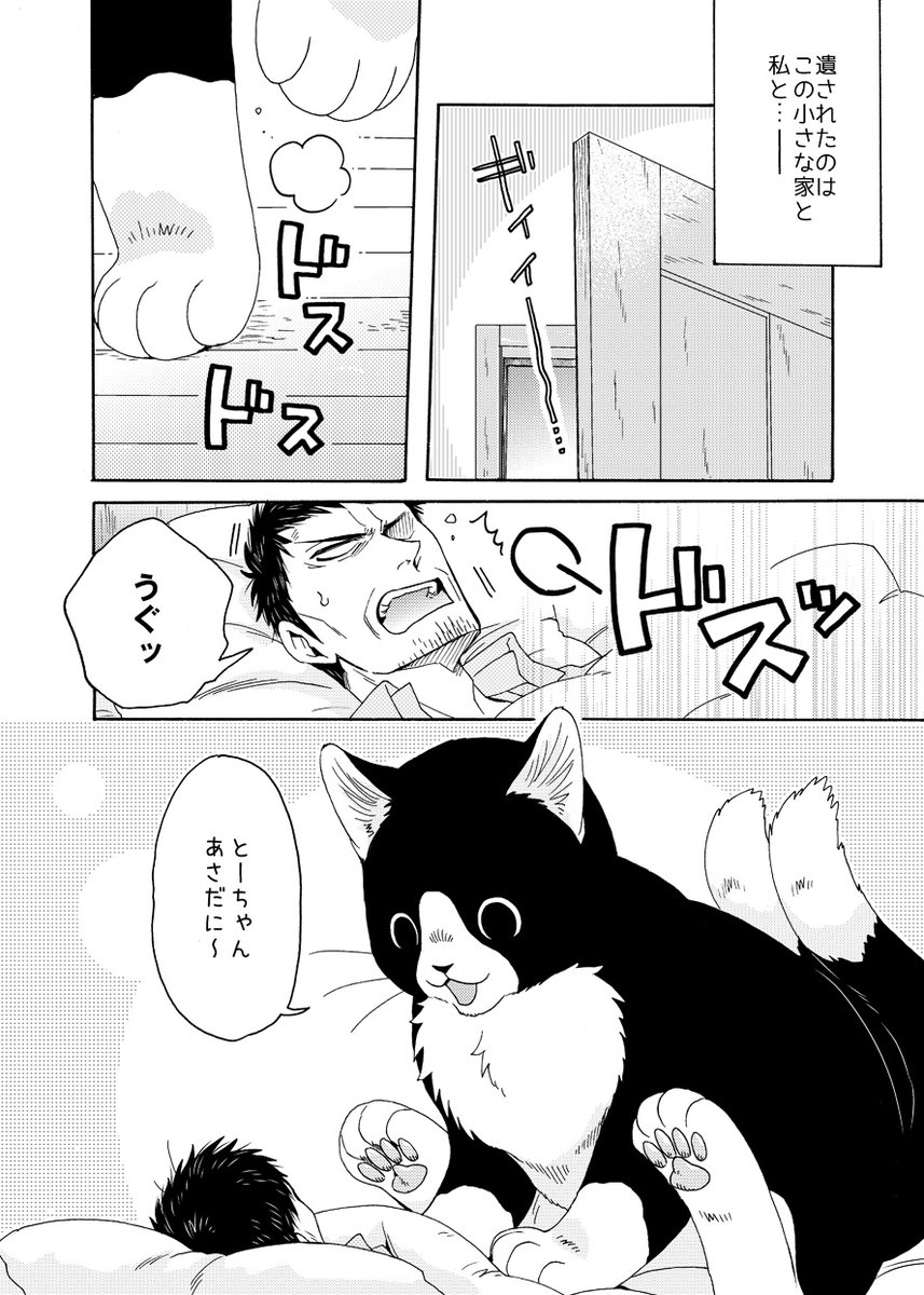 脱サラしたおじさんが、大きな猫又と田舎暮らしして
ごはんを食べたりするお話🐱🍞(2/4)

#漫画が読めるハッシュタグ 