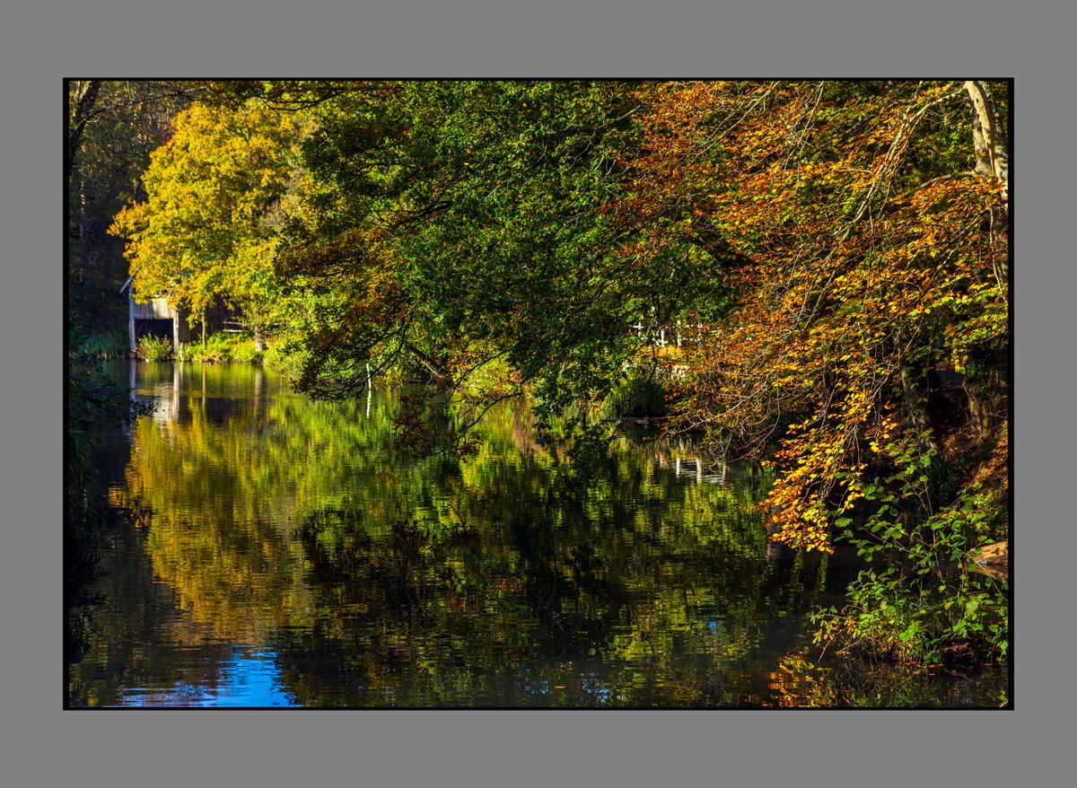 That amazing time of year again..Why not improve your skills, and enjoy a day out or two among the forests and parks, with a photo work shop....www.dougmckinlayphotography.com/courses #autumncolours #autumnphotography #photoworkshops #photography