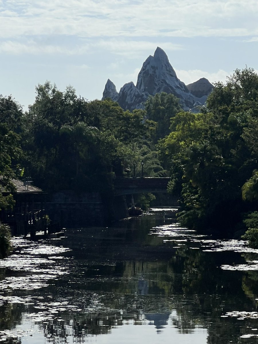ogorangebird's tweet photo. Happy Friday Everyone…..spread positive energy 🙂 #AnimalKingdom #WaltDisneyWorld #dailydisney https://t.co/ynWoyh0jQ5