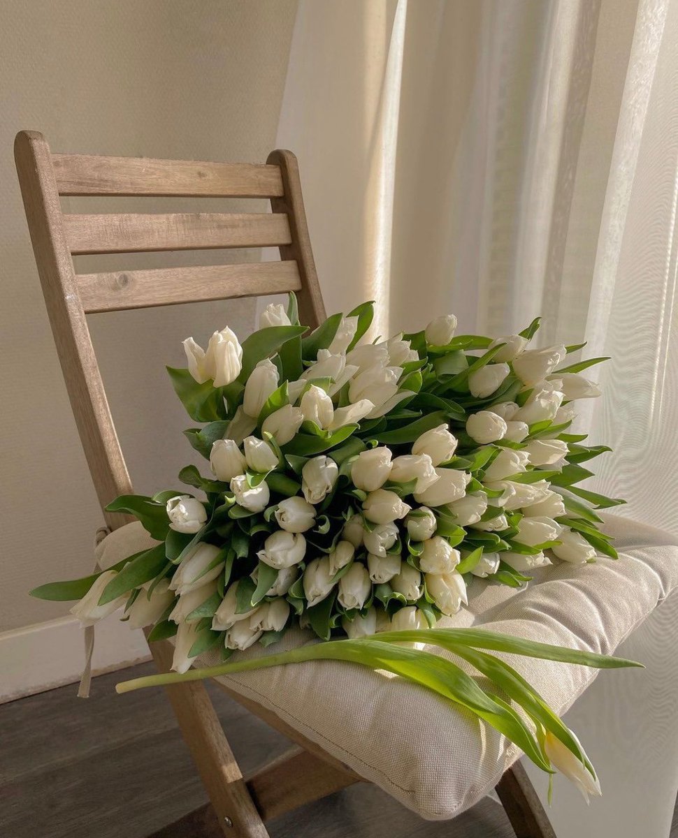 تسجيل دخول تويتر 🫶🏻🌱