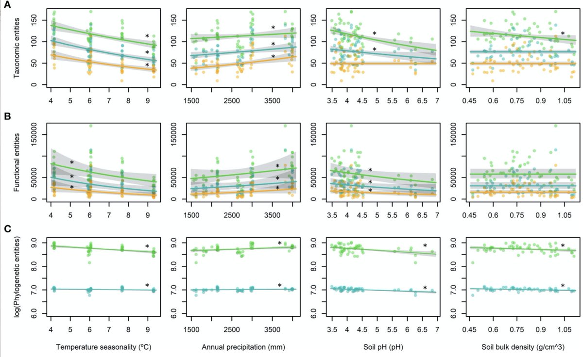 juliagdealedo's tweet photo. 📣📣📣First paper of Celina Ben Saadi et al. just published!👇
🍃About how climate and soils affect taxonomic, functional and phylogenetic diversity across latitudinal gradients in W. Amazonia.
@biologia_uam @TropEcologyLab 
https://t.co/daxIa0AhRf
Congrats on the hard effort! 🥲 https://t.co/EvRYo2mh1S