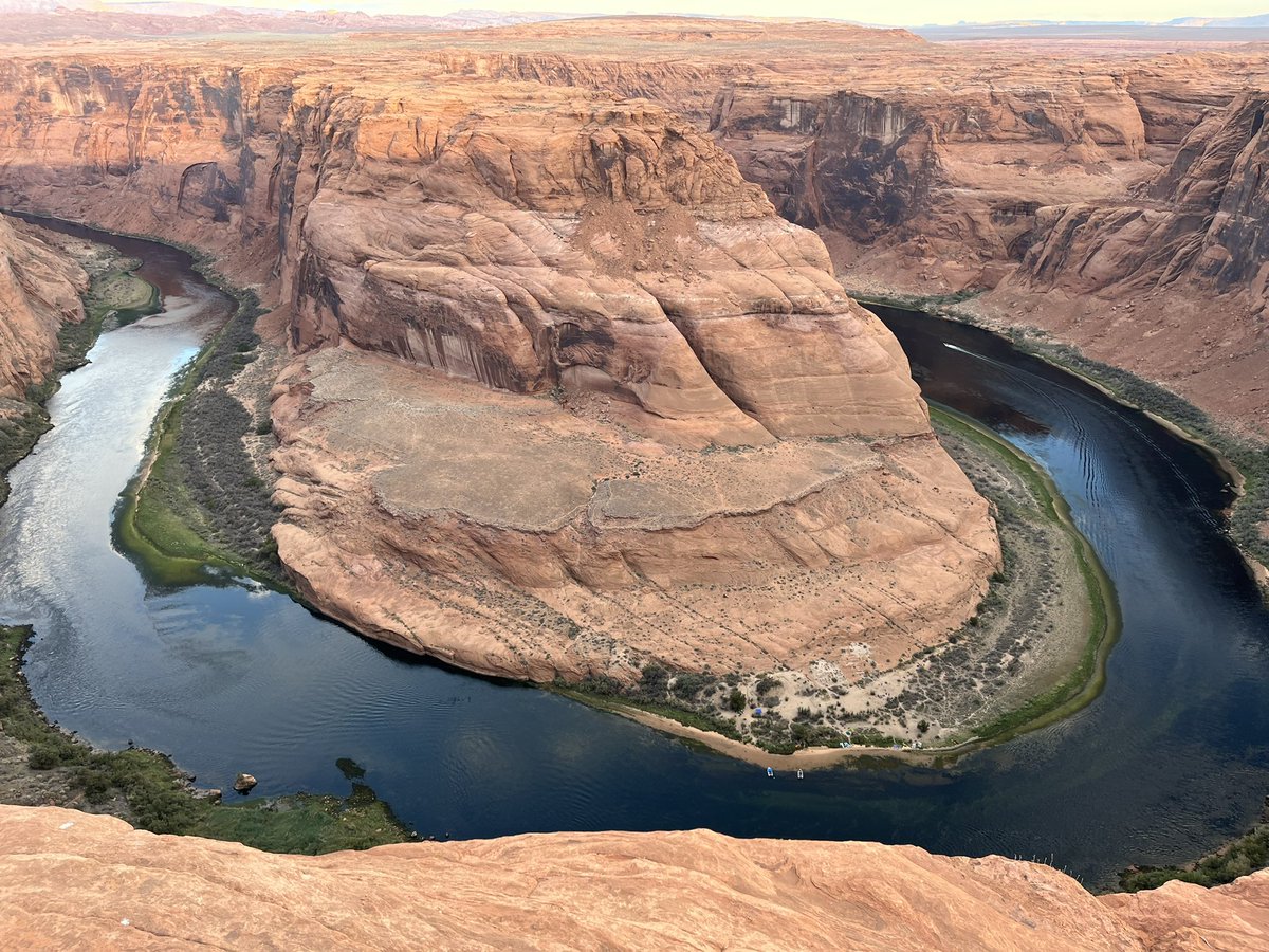 TomDaniels tweet media