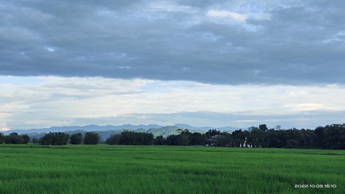 farmer_samir's tweet photo. Baris(home garden with multistoried trees of native fruit trees with bamboos) and the rice fields with pukhuri makes our beautiful Assamese Village.The baris &amp; bamboo grooves being carbon sink and balances rice monocrop. Planting oil palm trees in baris will be the big mistake. https://t.co/cMe23nzqPW