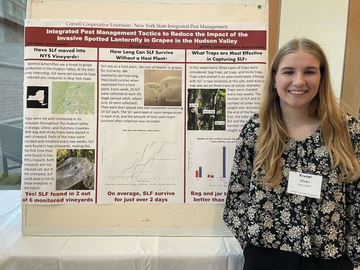Absolutely amazed by the work done by Krystal Dixon (CCE Summer Intern) #spottedlanternafly - Congratulations Krystal!  ⁦@NYSIPM⁩ ⁦<a href="/ccecornell/">Cornell Cooperative Extension</a>⁩ ⁦@CCEUlster⁩ ⁦<a href="/BrianEshenaur/">Brian Eshenaur</a>⁩ 
You can read more about Krystal’s project in her blog blogs.cornell.edu/kld89/