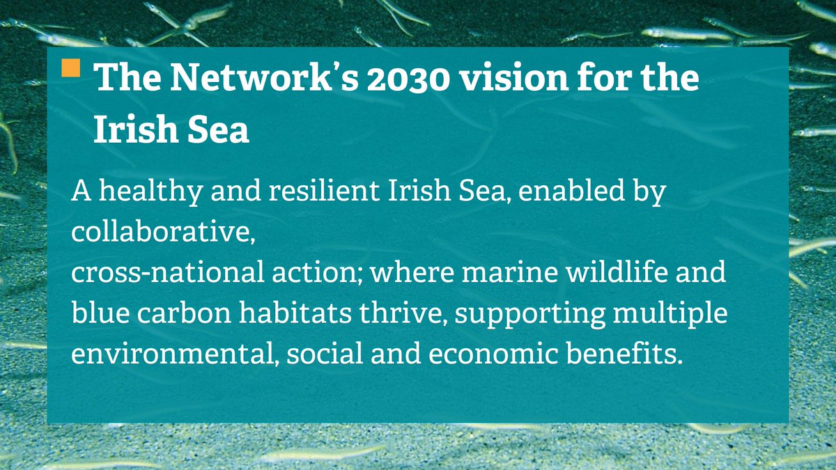 The #IrishSeaNetwork ’s ‘Review of the Irish Sea’ report and our vision and joint position statements have been launched today! 

These documents can be found online here: irishseanetwork.org
