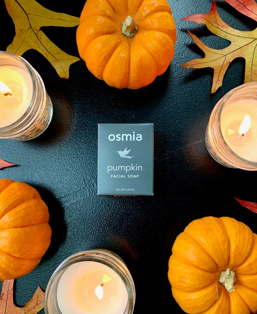 Indulge in these amazing organic skincare products that are infused with PUMPKIN! bit.ly/3SPF3aG

#pumpkinqueen