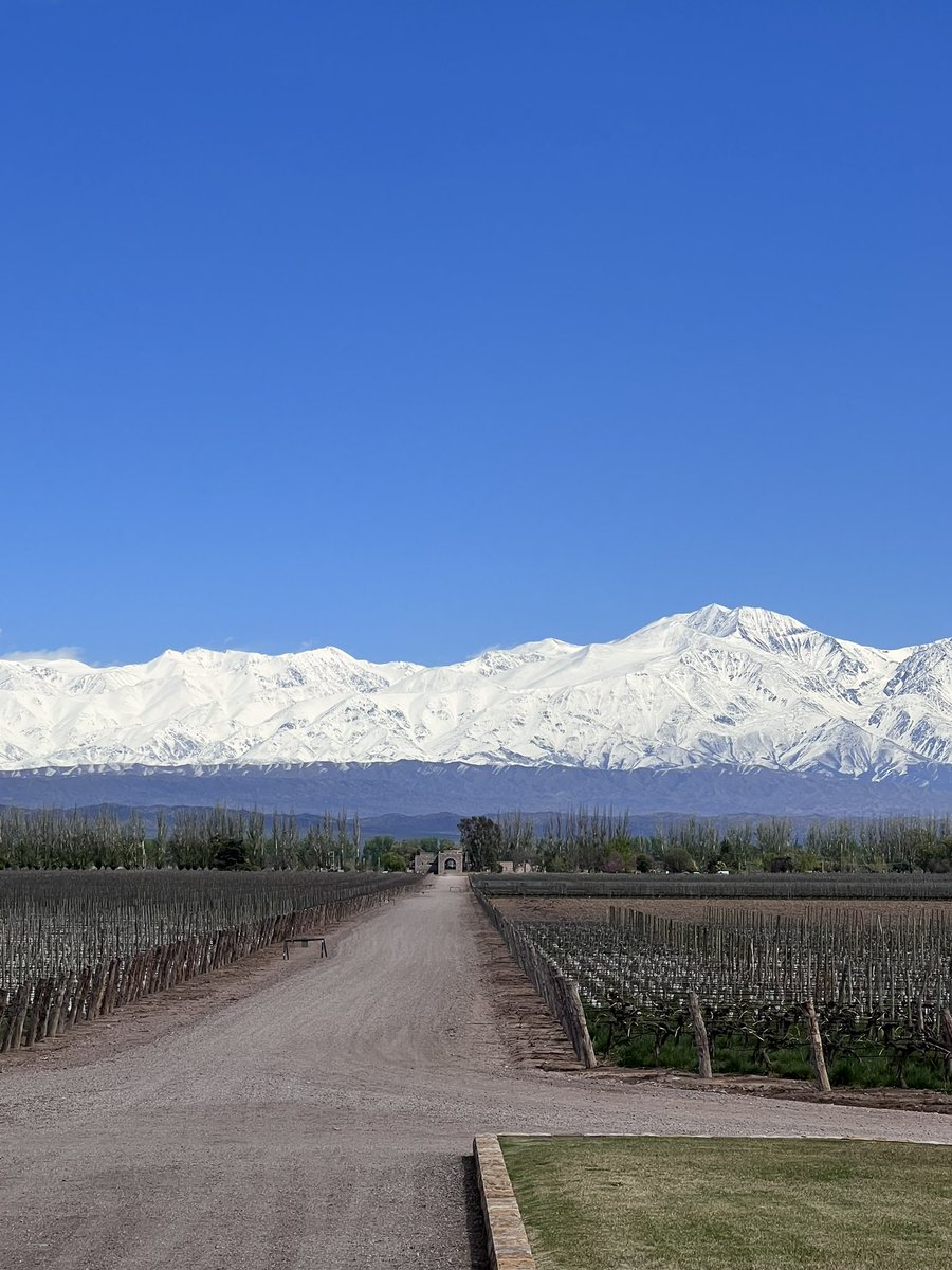 alevigilmalbec's tweet photo. Vigilante del Malbec #mendoza https://t.co/SDh7AIqhH3