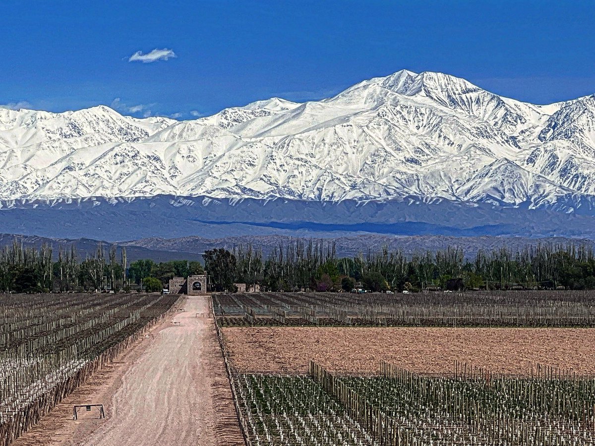 alevigilmalbec's tweet photo. Vigilante del Malbec #mendoza https://t.co/SDh7AIqhH3