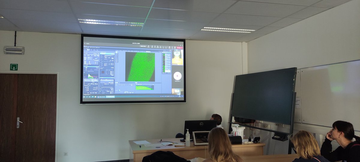 Sam Duwe tweet media