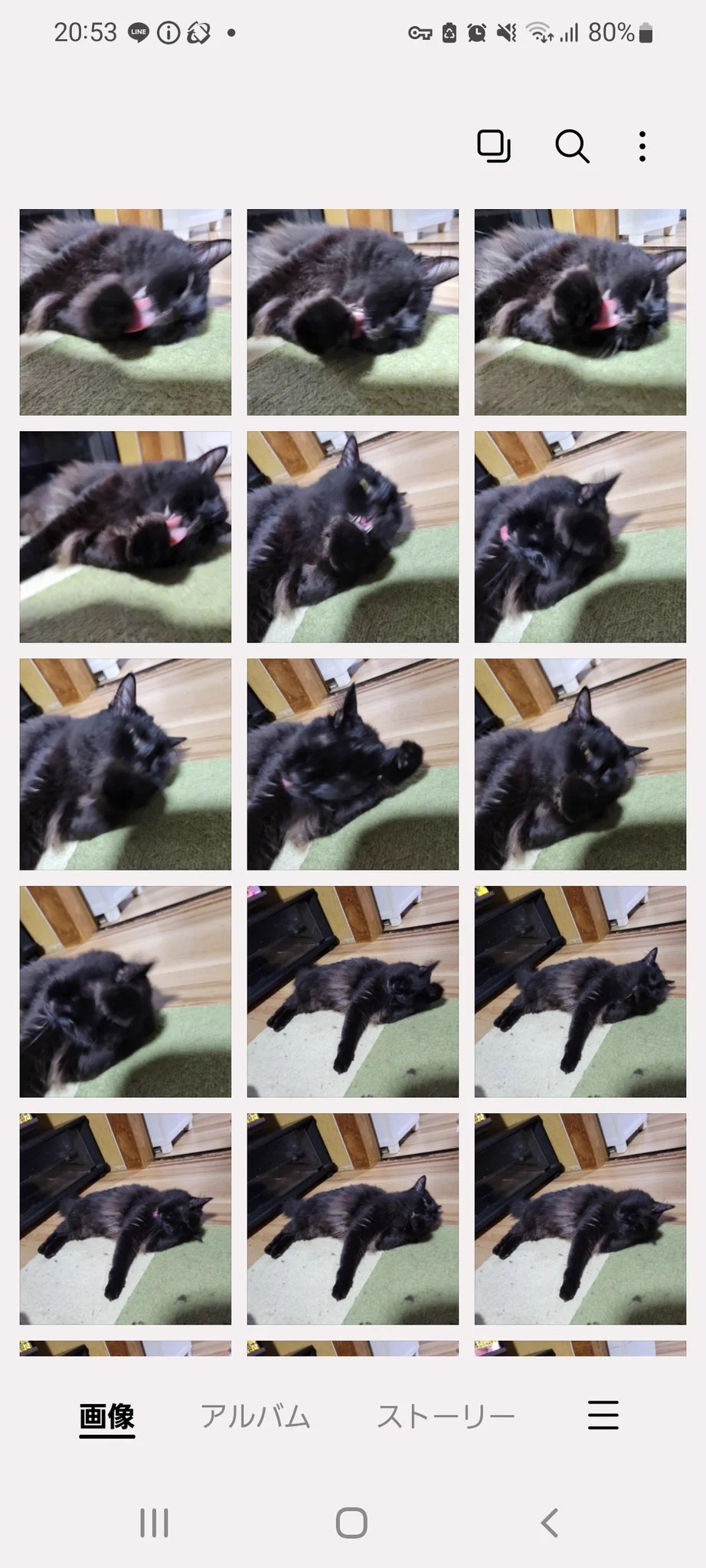 @kyuryuZ めちゃめちゃ分かります🤣 