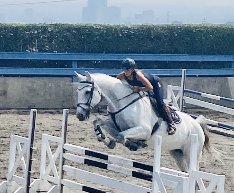ArletteGarza's tweet photo. Happy Friday!!! 🤩🤩🤩  #goodvibes #amazona #horselover #weekend_mood #cuadraFT https://t.co/QckSAaKKgZ