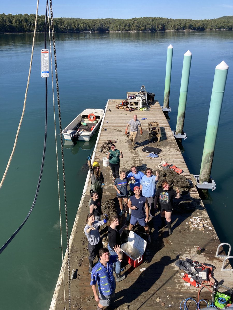 ⁦<a href="/UMaineDMC/">Darling Marine Center</a>⁩ aquaculture farm clean up day 2022! Many many thanks to Umaine semester by the sea students!!!