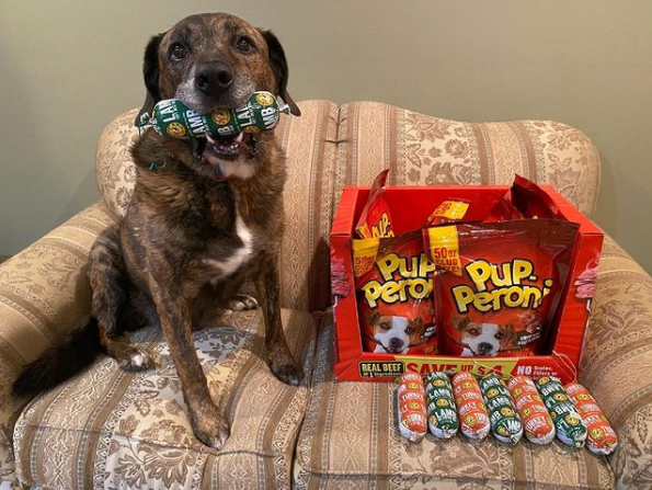 Happy Howie's Natural Dog Treats tweet media