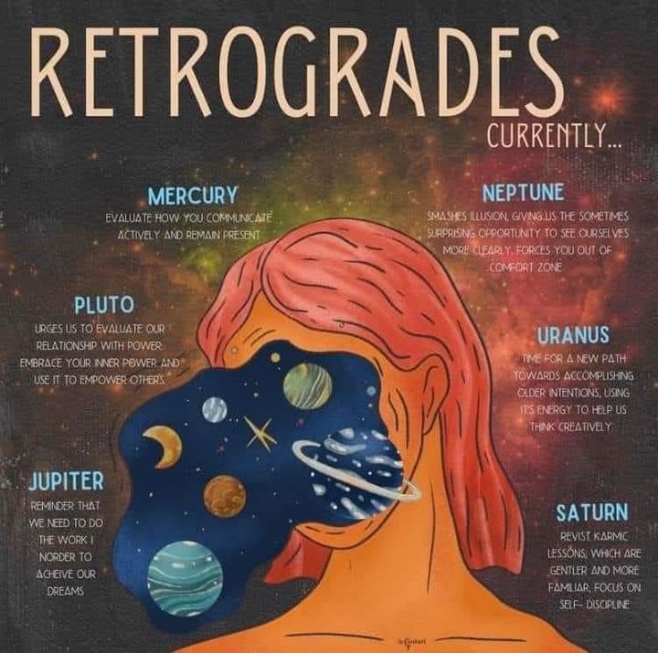 Adora Zen Stoner Horoscopes tweet media