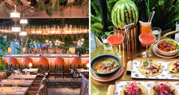 DesignMyNight's tweet photo. From who should pay the bill to your hidden gem recommendations, here’s the results to our city survey 👀

https://t.co/n2AprjQbM7 https://t.co/X1r7k3fXUu