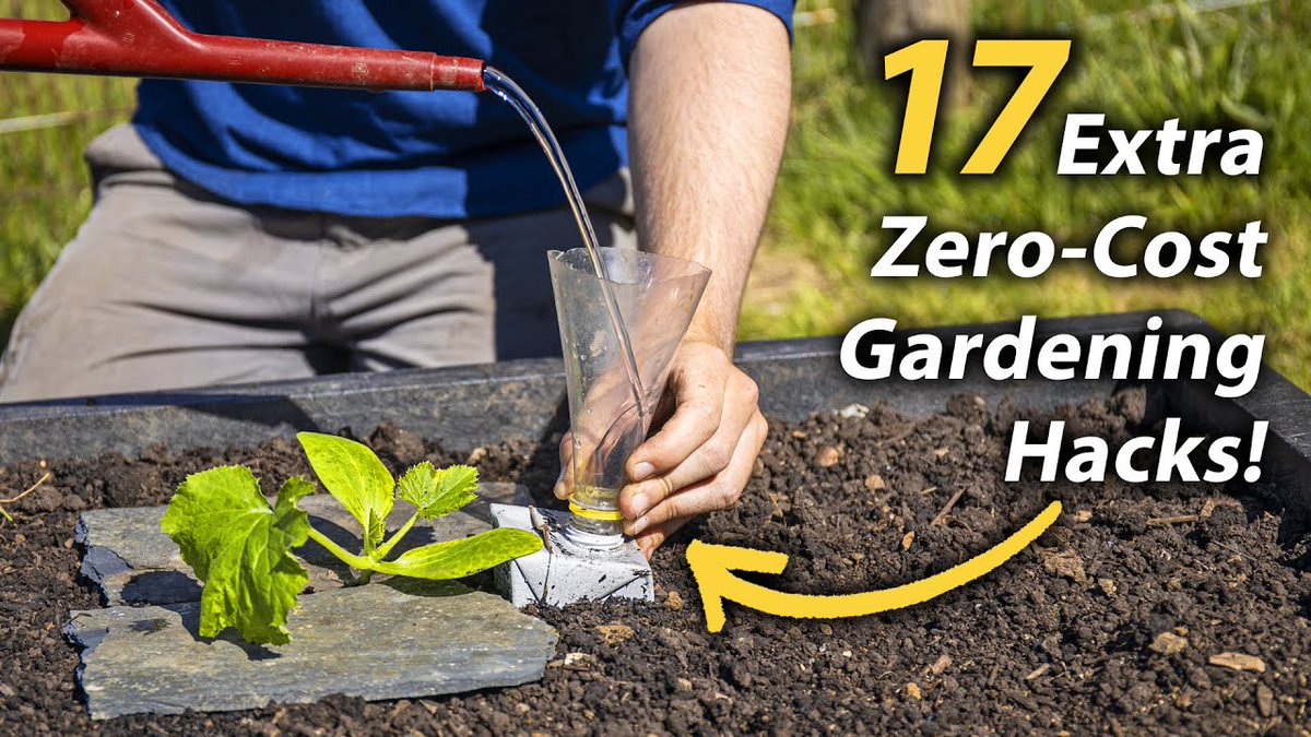 17 ... 
 
#17BrilliantFreeVegetableGardeningHacks #GardenHacks #GardenTips #GardeningHacks #GardeningIdeas #GardeningTips #Homesteading #HowToGarden #HowToGrowFood #HowToStartAVegetableGarden #HuwRichards #OrganicGardening #OrganicGardeningTips
 
diningandcooking.com/592903/17-more…