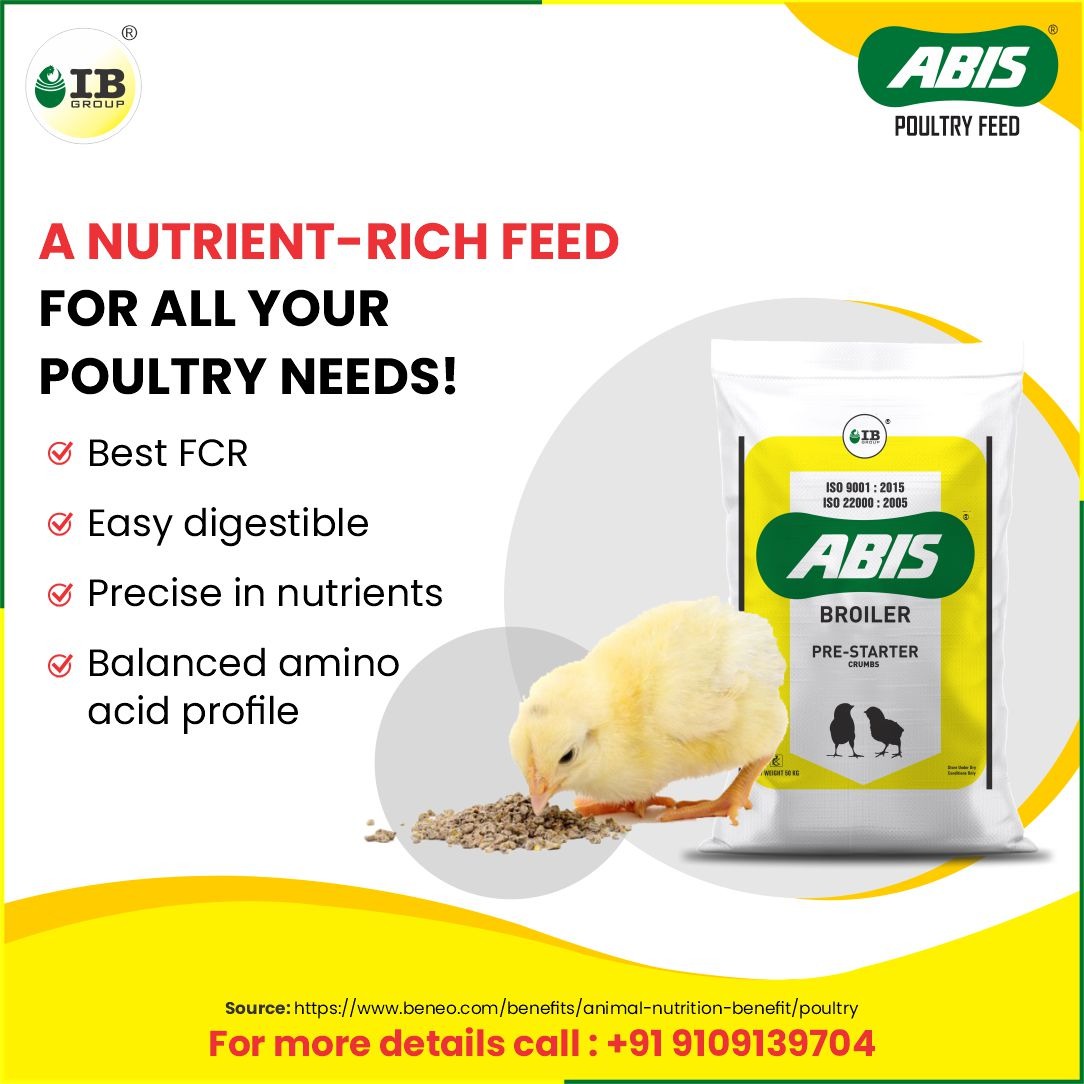 ibgroup_india's tweet photo. #ABISPoultryFeed is the most cost-effective feed for your #poultry which ensures a strong immune system for a high-yielding batch and high-end profit.

#Poultry #Poultryfeed #poultrybird #Pelletfeed #poultryindustry #profit #growth #farmers #Poultryfarmer #Chicken #immunity https://t.co/ysnHwDGbb5