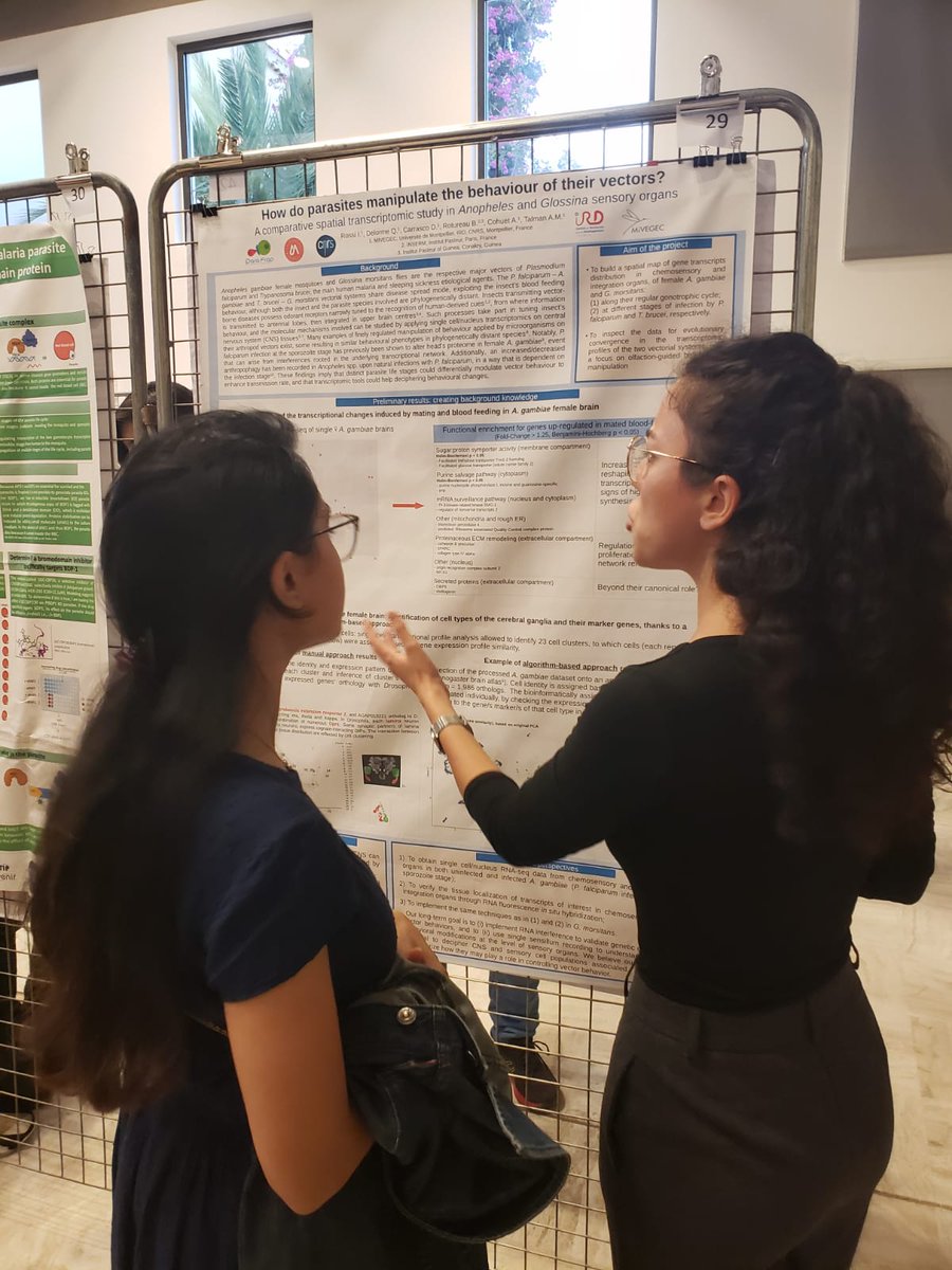I had the pleasure to present the results of my first year of PhD at the <a href="/EMBO/">EMBO</a> workshop on New Frontiers in Host-Parasite Interactions. I must thank the <a href="/ParaFrap/">LabEx ParaFrap</a> LabEx programme for making it possible, and my PIs Anna Cohuet, Arthur Talman and David Carrasco.