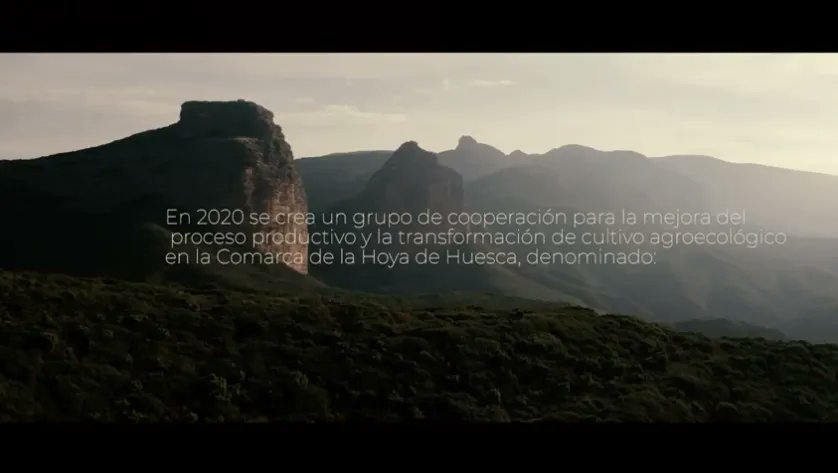EPSunizar's tweet photo. El Grupo de Cooperación  Coopgreen que tiene su base en la transformación del cultivo del almendro a un manejo ecológico en la Hoya de Huesca en el que participan diversos investigadores de la escuela nos envía este video sobre su labor
https://t.co/d4m9gnhYmq https://t.co/DNqNCR2JI8