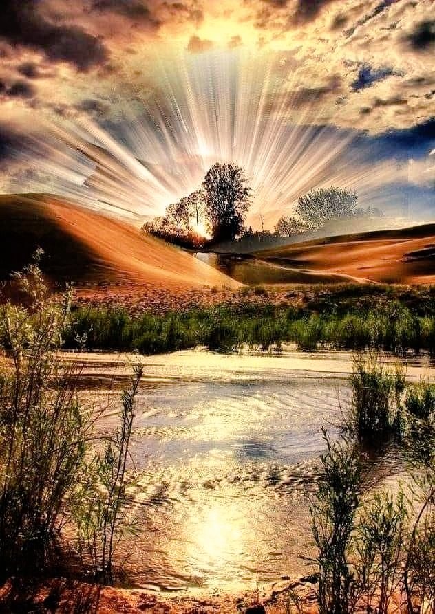 Patrici24436168's tweet photo. Love, Truth, and Light...
💛🕯💛🕯💛🕯💛🕯💛 https://t.co/3OG99j6MeW