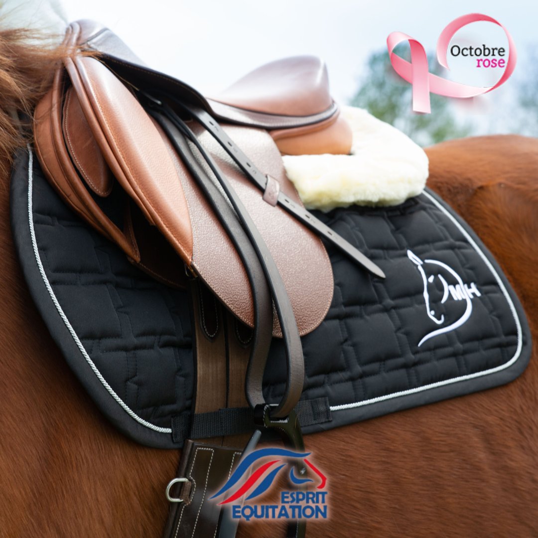 EEquitation's tweet photo. #octobrerose🎀 
•
Dans le cadre d'octobre rose, nous reverserons 5% des ventes (HT) sur les articles DMH•Equitation à la @liguecontrelecancer.
🎀 https://t.co/4fyA96GfbW https://t.co/YCVxM1JX4e