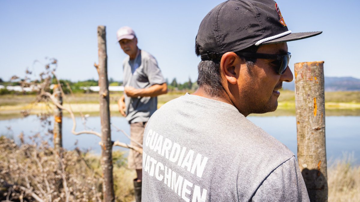 coastfunds's tweet photo. #JOBALERT ➡️ Here's a 🧵 of current job opportunities throughout the #GreatBearRainforest and #HaidaGwaii.

(New jobs will be added to this thread as they come up.) 

#IndigenousJobs #FNJobs #BCJobs https://t.co/Ks8nBXumIt