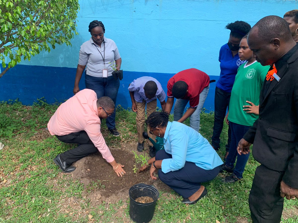 ChrisHenry1690's tweet photo. Did some tree planting today at the Swallowfield Primary for #worldtreeplantingday https://t.co/y0iPuZk45k