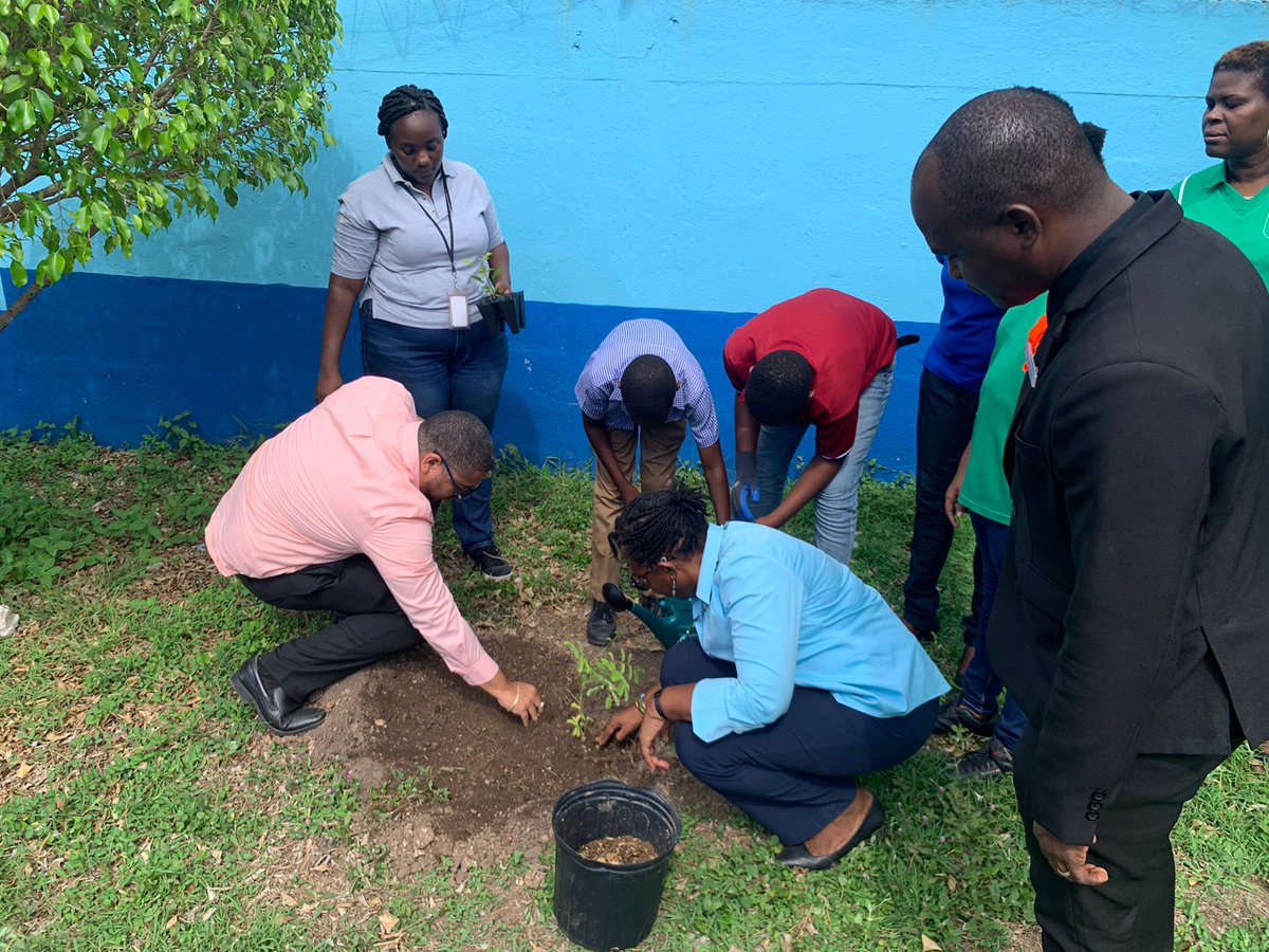 ChrisHenry1690's tweet photo. Did some tree planting today at the Swallowfield Primary for #worldtreeplantingday https://t.co/y0iPuZk45k
