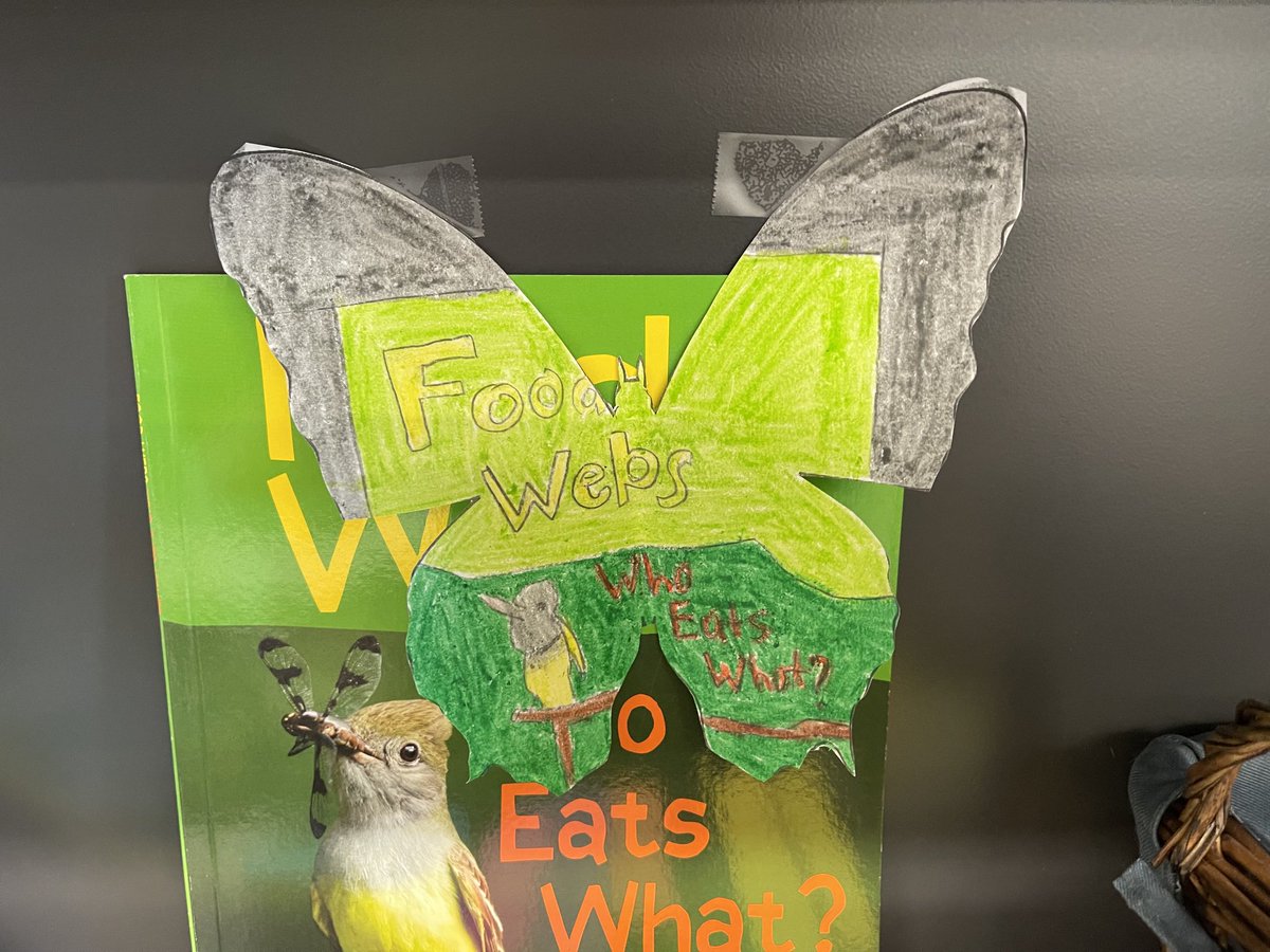 Camouflage practice! #ExploreWells#4th grade Science