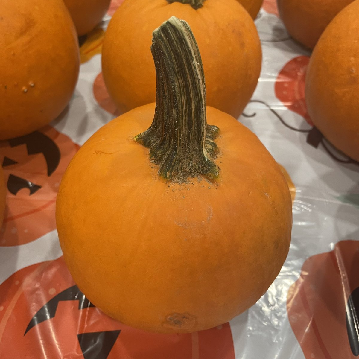 Eugs1913's tweet photo. That’s right! Cute little pumpkins for everyone to decorate! Where and when? Tuesday @9m in the Eug Hall! We hope to see you there! https://t.co/v1MesC6VF3
