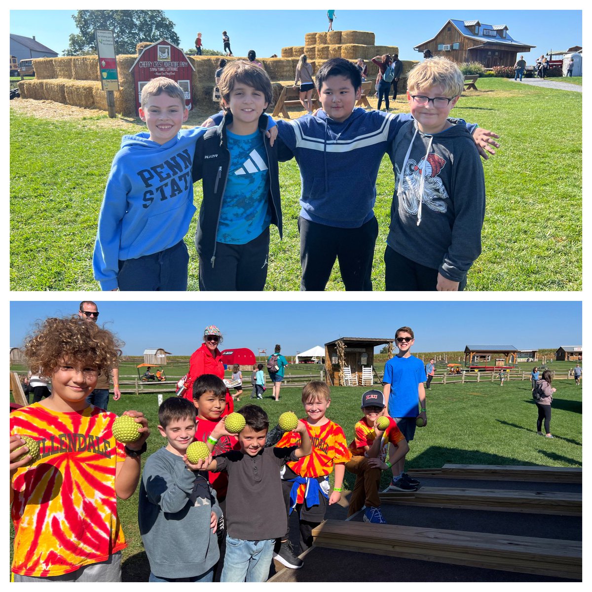 Amanda O'Neil tweet media