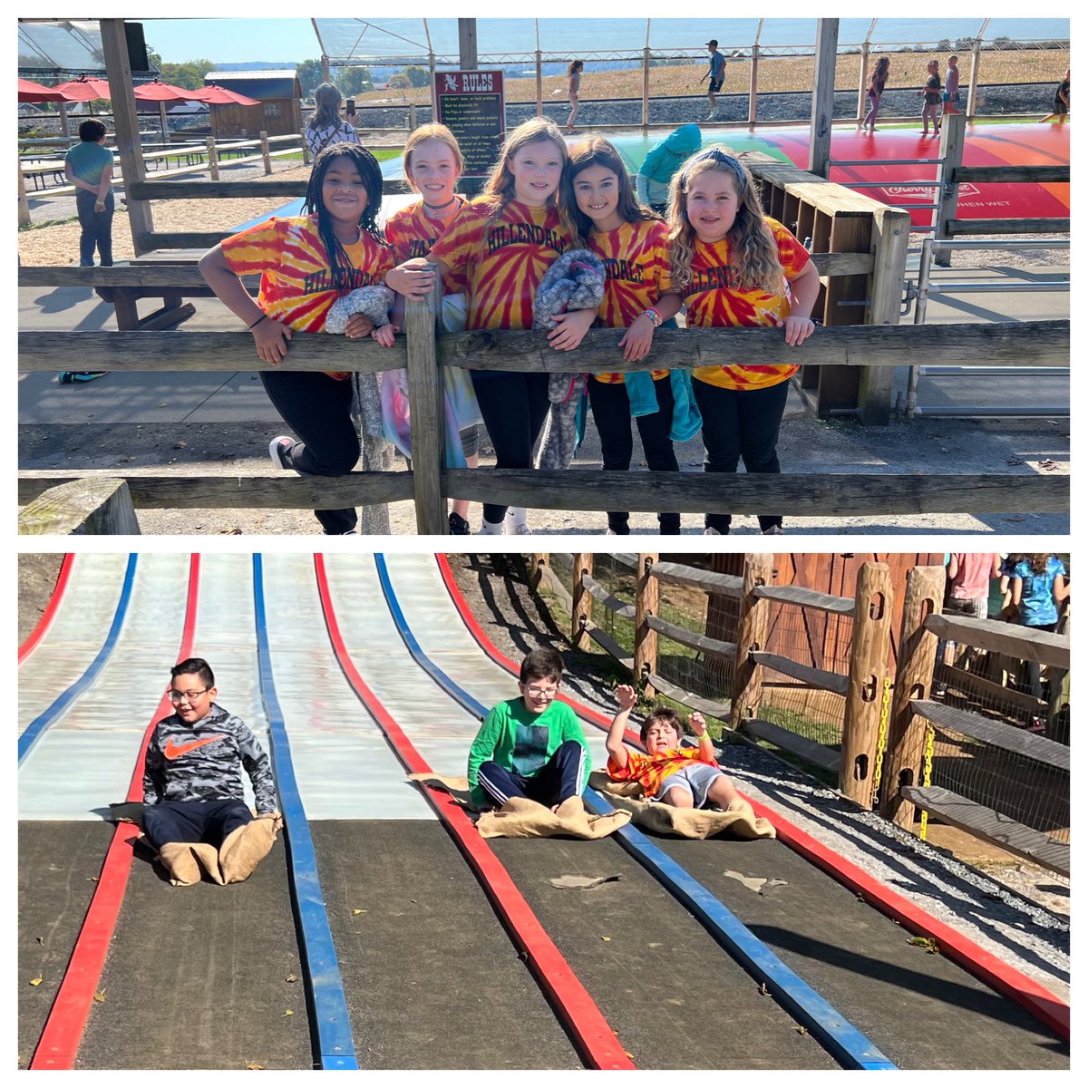 Amanda O'Neil tweet media