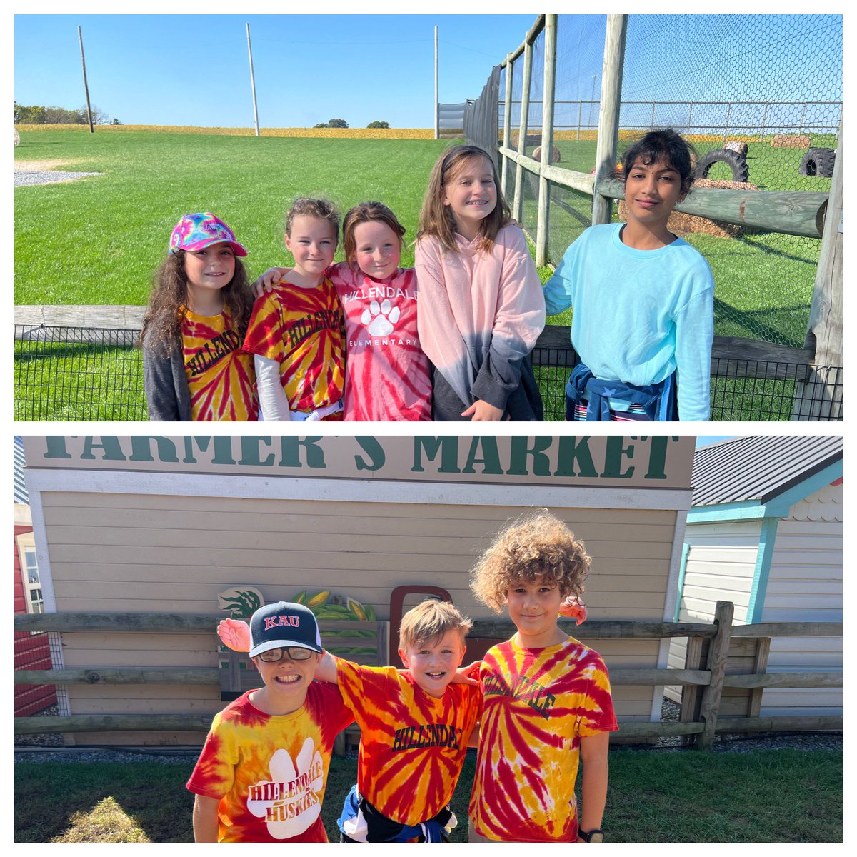 Amanda O'Neil tweet media