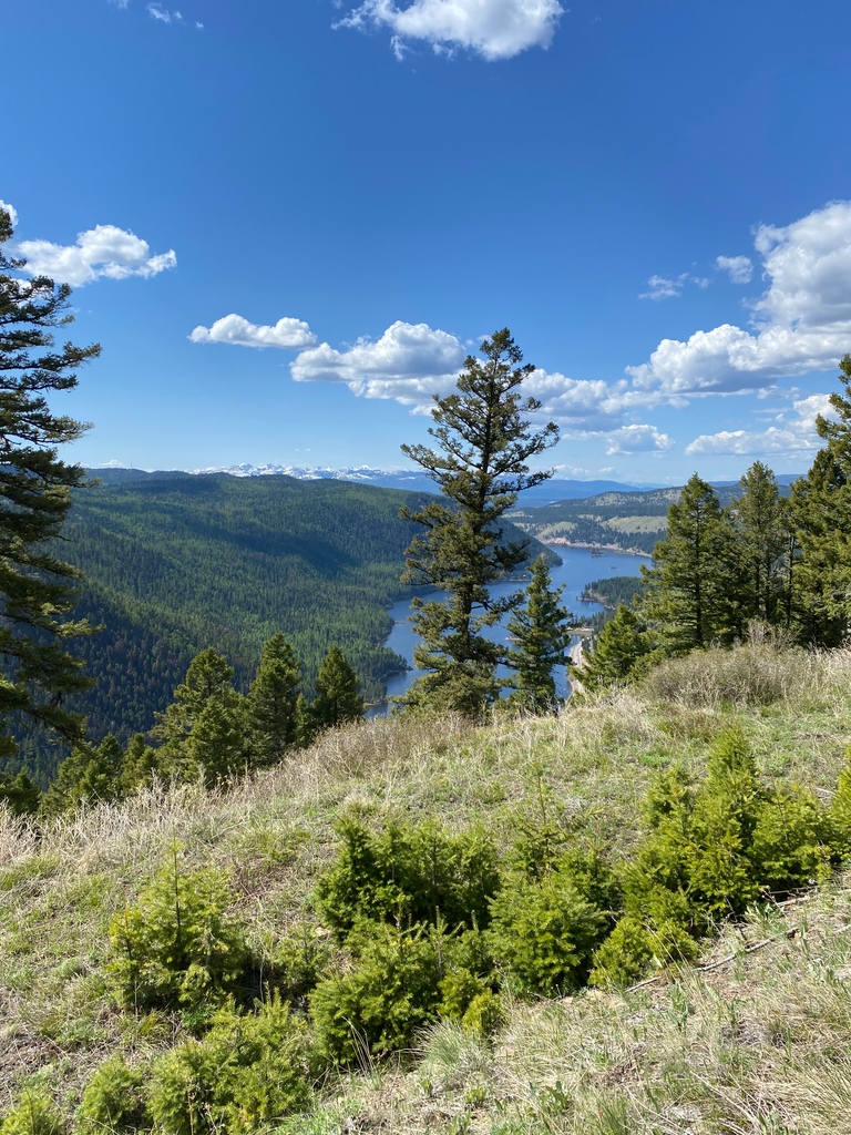 gearkeeper's tweet photo. Can't get enough of the amazing scenery we get to experience as hunters. If you’ve got a picture of some beautiful place you’ve hunted, share it below in the comments. 👇
#hunting #huntingseason #fallhunting
#wilderness #outdoors #wildlife #camping #fishing https://t.co/ziE9L0x42Q