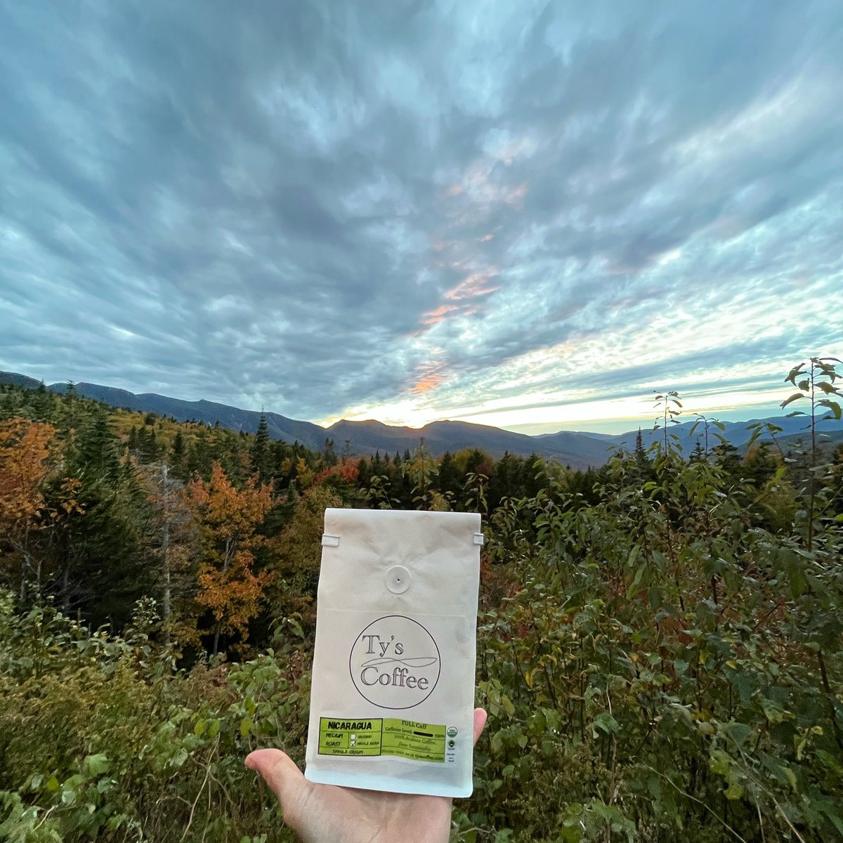 tyscoffee's tweet photo. It’s looking like fall! Use code “FOLIAGE22” for 22% off all Full Caff coffee orders. Now until 10/10/2022.

#fall #autumn #coffee #coffeetime #coffeelover #organic #fairtrade #sustainable https://t.co/orfWrchWLo