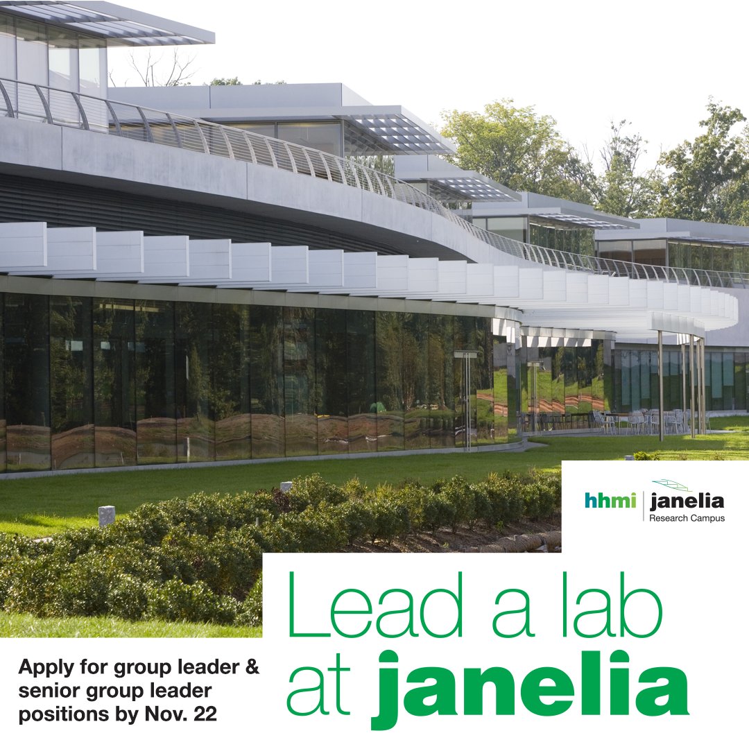 🧠 Want the time to think deeply about science &amp; the freedom to pursue difficult, long-term projects? Apply to be an <a href="/HHMIJanelia/">HHMI | Janelia</a> Group Leader by Nov. 22.

We welcome applications from postdocs &amp; grad students ready to start their own lab. 
🔗 janelia.org/our-research/o…