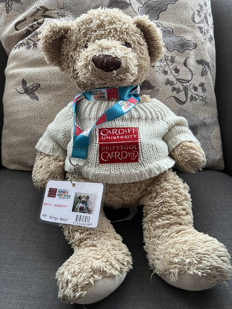 andyivins's tweet photo. Very excited to find we’re hosting @cardiffuni Little Scholars Nursery’s Mr Bingo Bear for the weekend. Time to make plans and add to his diary. https://t.co/C4qIg69kQN