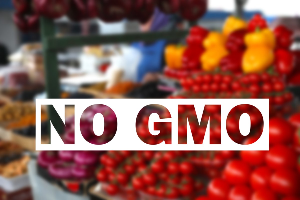 asifood's tweet photo. #NationalNonGMOMonth promotes awareness about Genetically Modified Organisms (GMO), which are organisms that have been genetically modified in a lab. These types of foods have been on the market since 1994, but food labeling regarding GMOs did not arrive until 2016. 🤯 https://t.co/zigsg7Fm5p