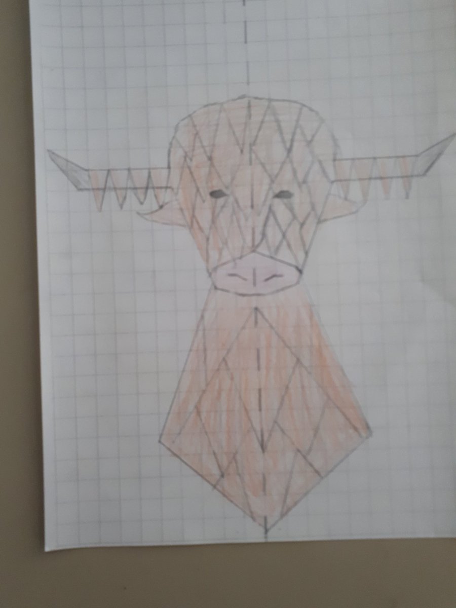 MathsatKGS's tweet photo. Here are some fabulous symmetrical designs from Mrs Beadle's S1 class #mathematicalart https://t.co/UrP4WEgS0M