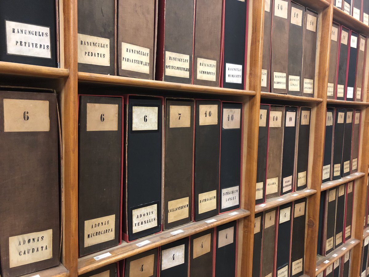 CNRS Rhône Auvergne tweet media