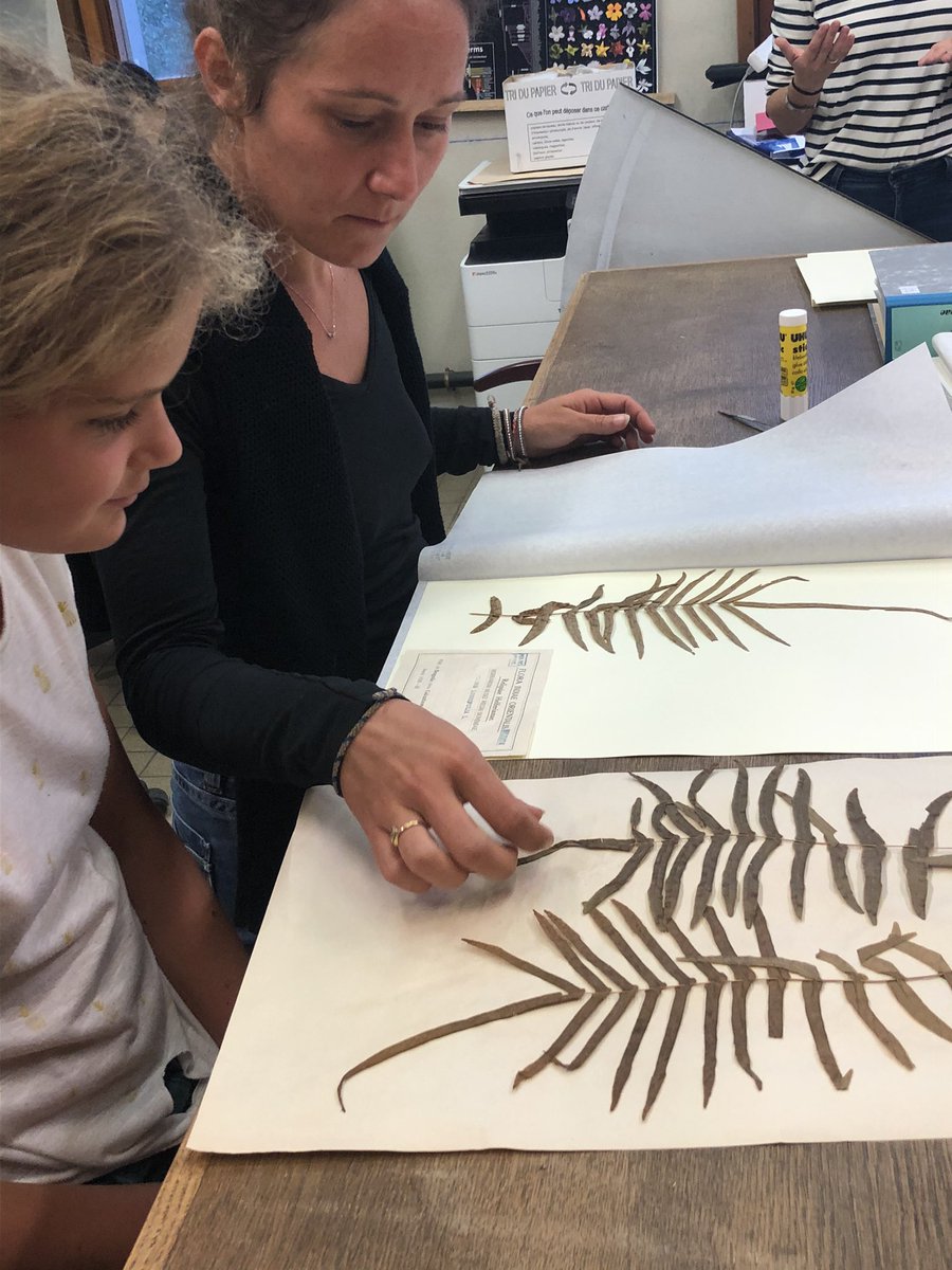 CNRS Rhône Auvergne tweet media