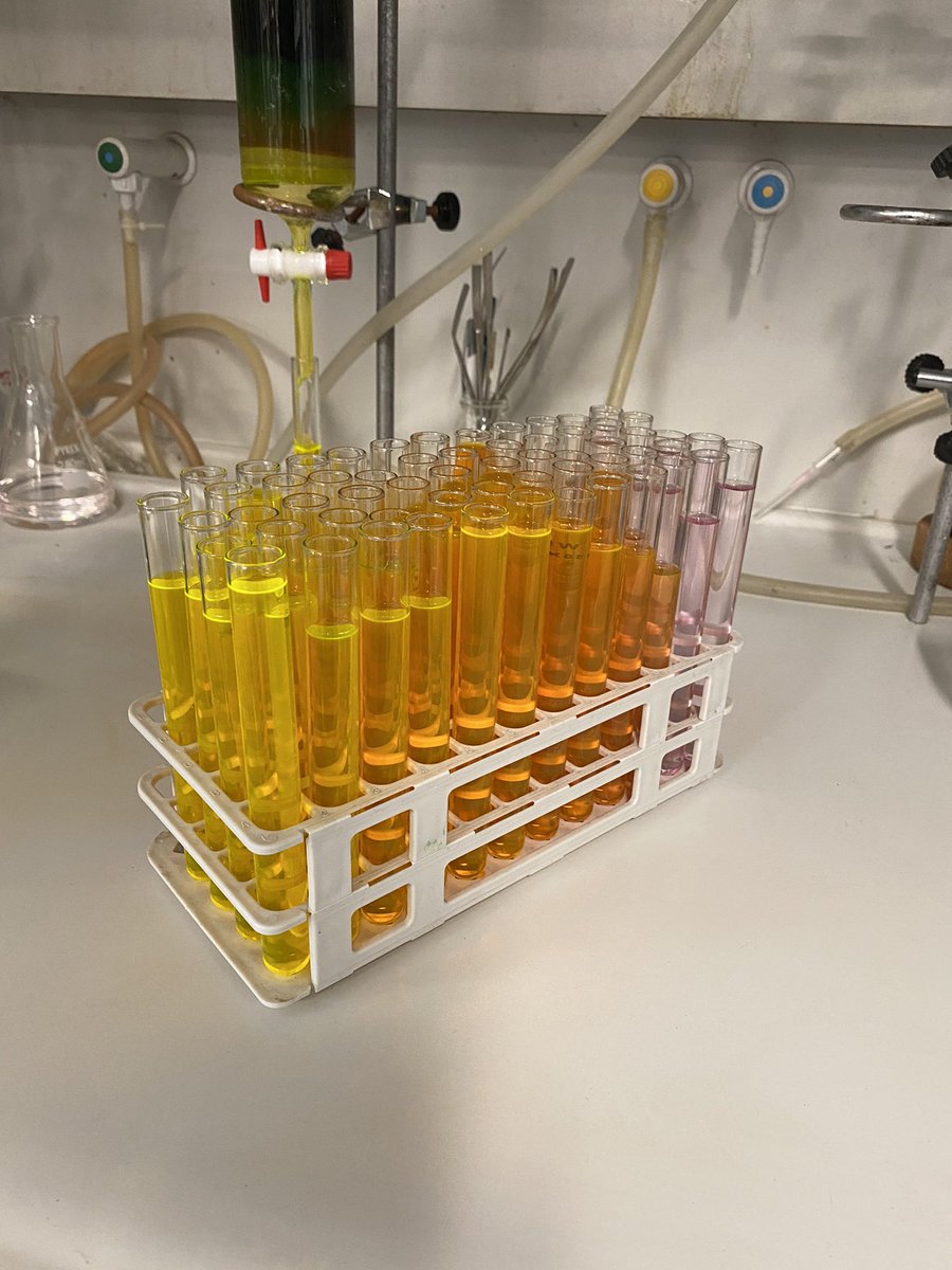 Marina González tweet media