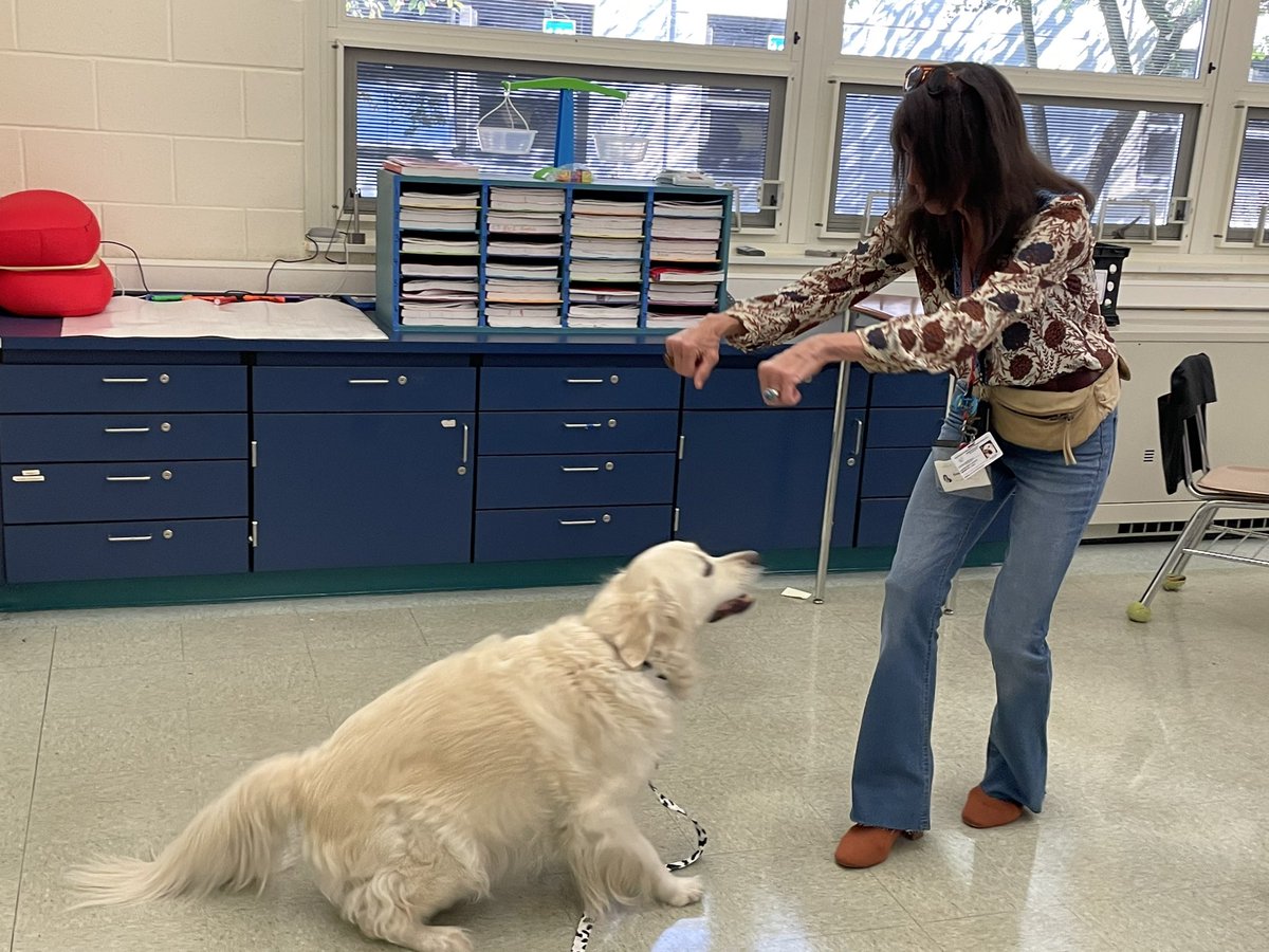 RFIShuskies's tweet photo. One word…BEAMER!! Year 4 with our Therapy Dog and his handler Ms. Donna. He is back and ready to spread laughs, calm & ♥️! #rfis #HuskyPride @FlemRarSchools https://t.co/t5zEbCimBi