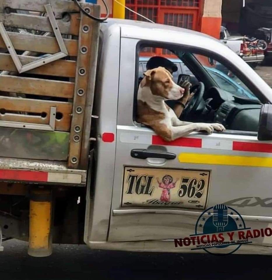 DiloConPerritos's tweet photo. A ganarse la croqueta. https://t.co/OEfLbLDMpC